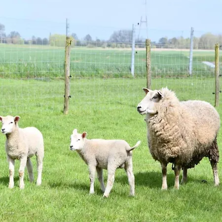 In By The Sea * Nieuwpoort