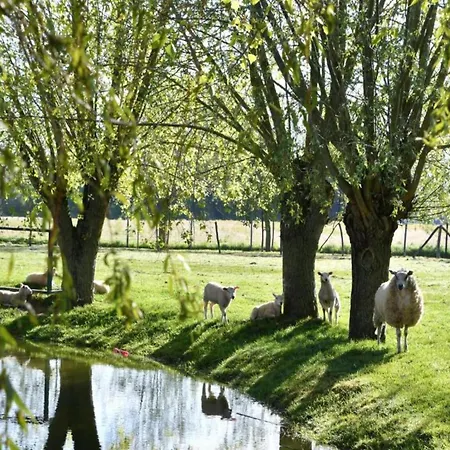 Appartamento In By The Sea *