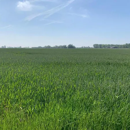 In By The Sea Nieuwpoort