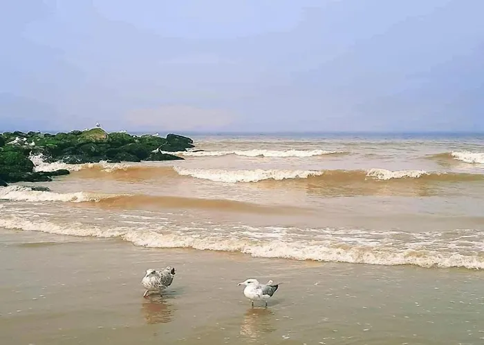 In By The Sea Lägenhet