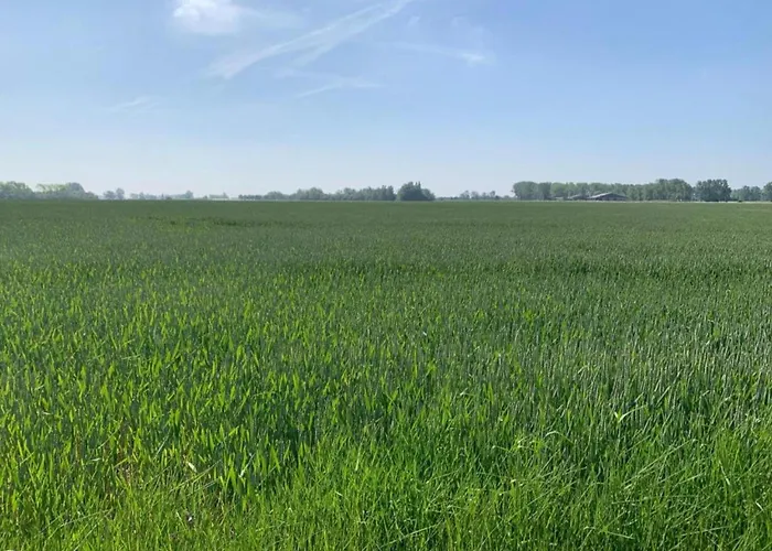 In By The Sea Nieuwpoort